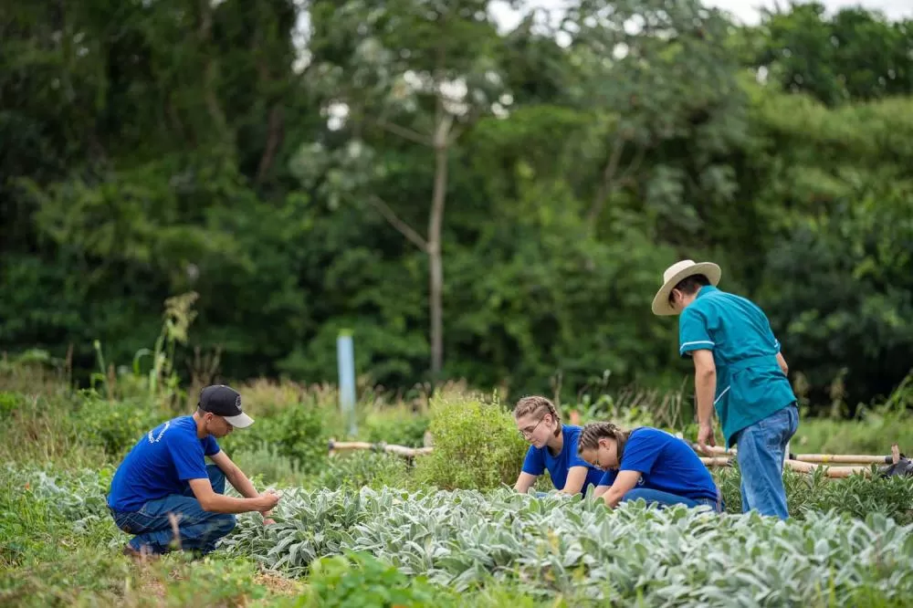 Colégio agrícola alia ensino técnico e produção e atinge receita milionária Caixa de entrada Foto: Lucas Fermin/SEED