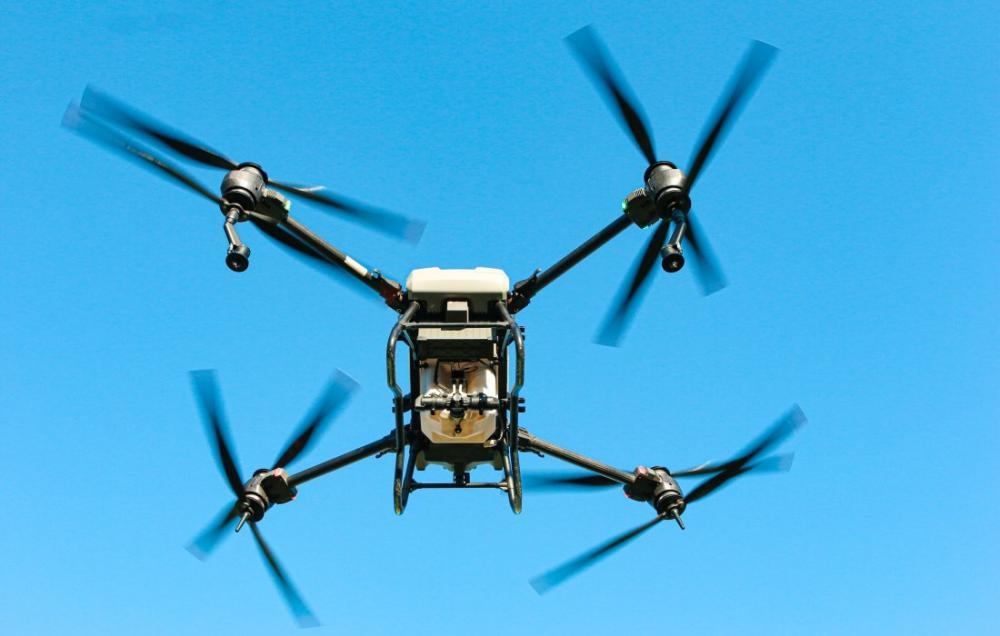 (Foto: Divulgação)