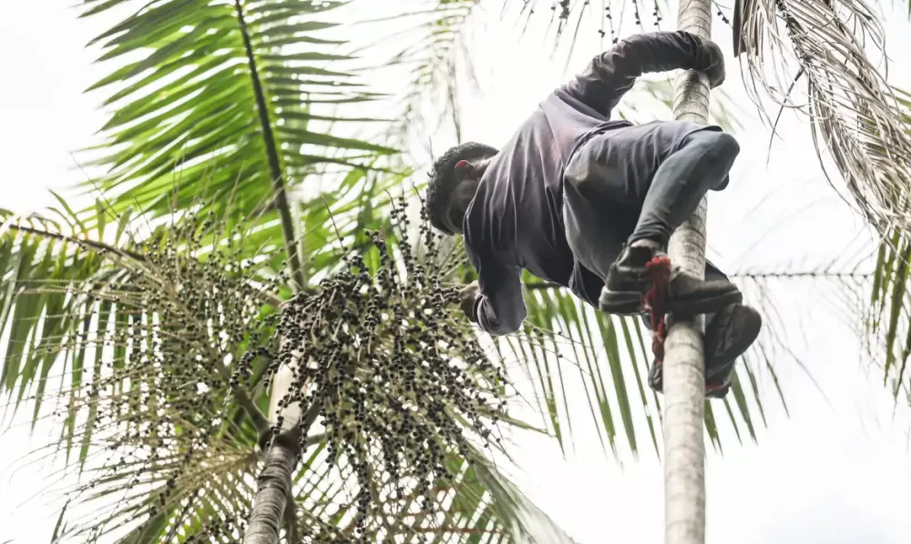 © Marcelo Camargo/Agência Brasil