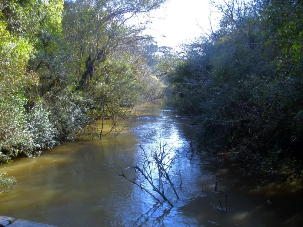 Foto: ICMBio/Divulgação