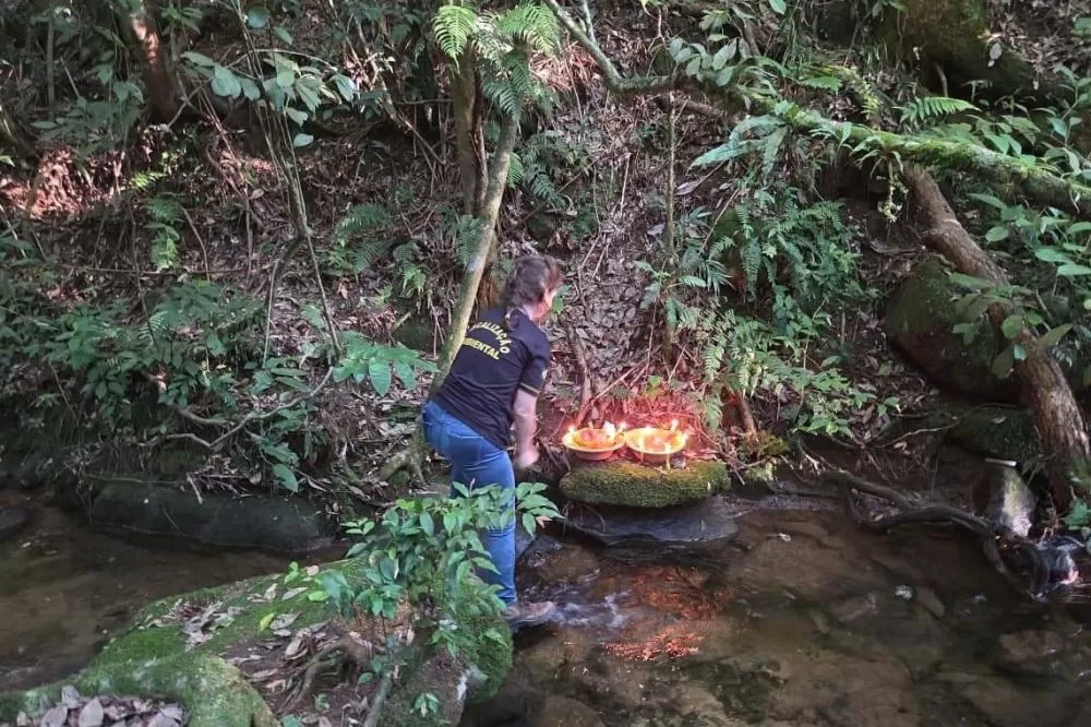 Primeira edição da força-tarefa “Espaço Naturais Protegidos”, de combate a crimes ambientais em Unidades de Conservação, aplicou R$ 878 mil em multas. Foto: IAT