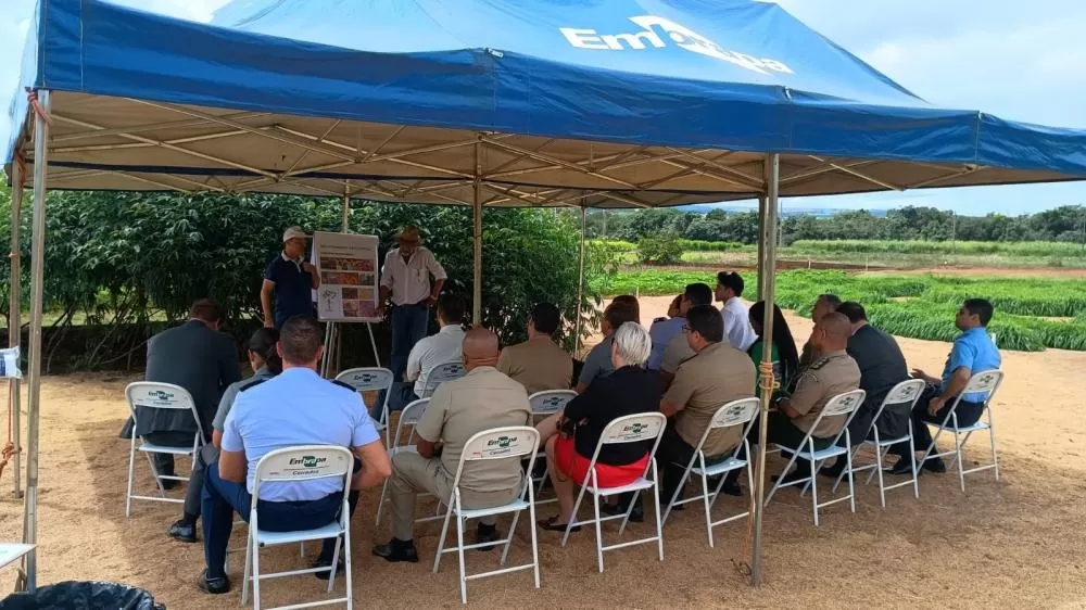 Foto: Luiz Carlos de Carvalho