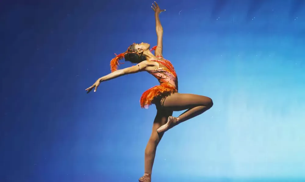 © Eduardo Patino/Divulgação