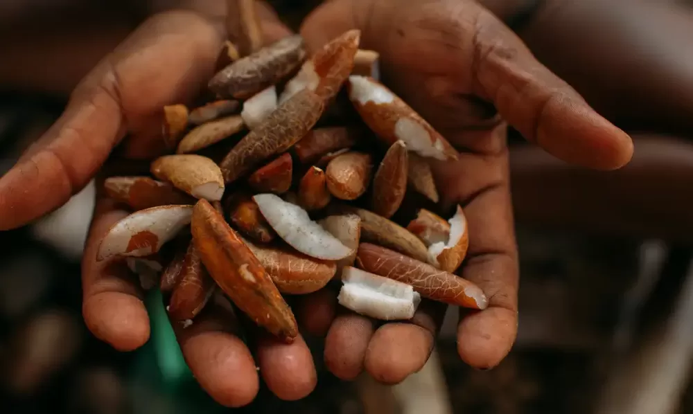 © Fotos Ingrid Barros.