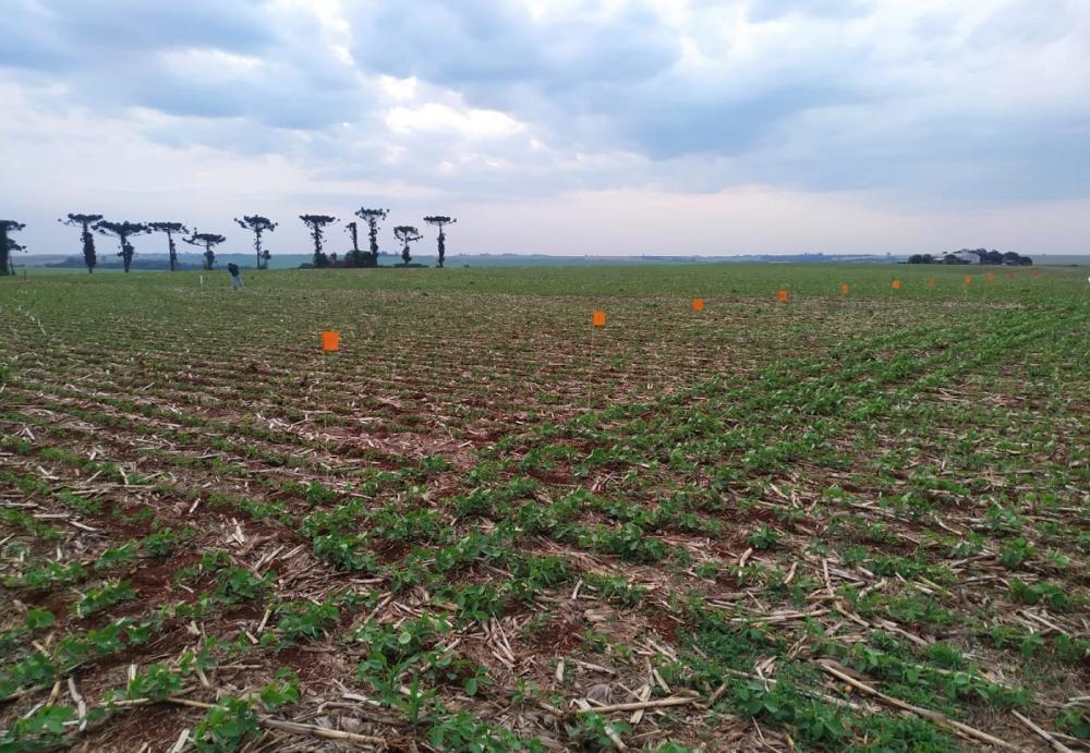 (Foto: Divulgação)