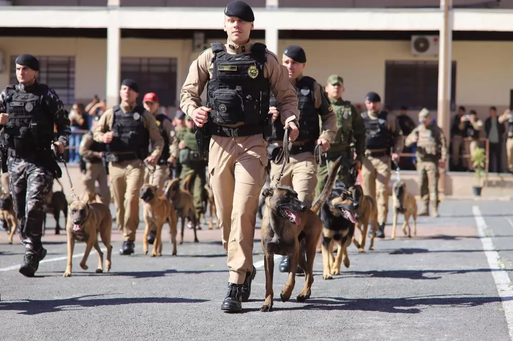PMPR forma 34 policiais para uso de cães em operações e patrulhamentos Foto: Cb Mauro Berg/CCOMSOC PMPR