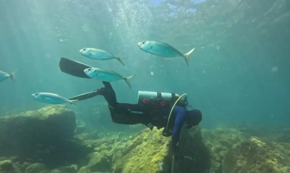 © Fernando Frazão/Agência Brasil