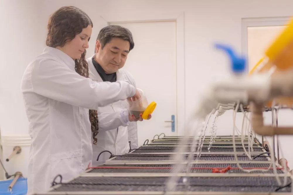 Unicentro abre concurso para agentes universitários com salários de até R$ 7,6 mil Foto: Jessica Natal