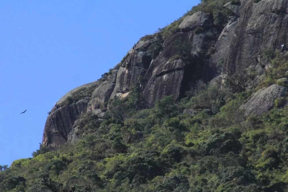 Foto: Harvey FS/IAP Foto: IAT