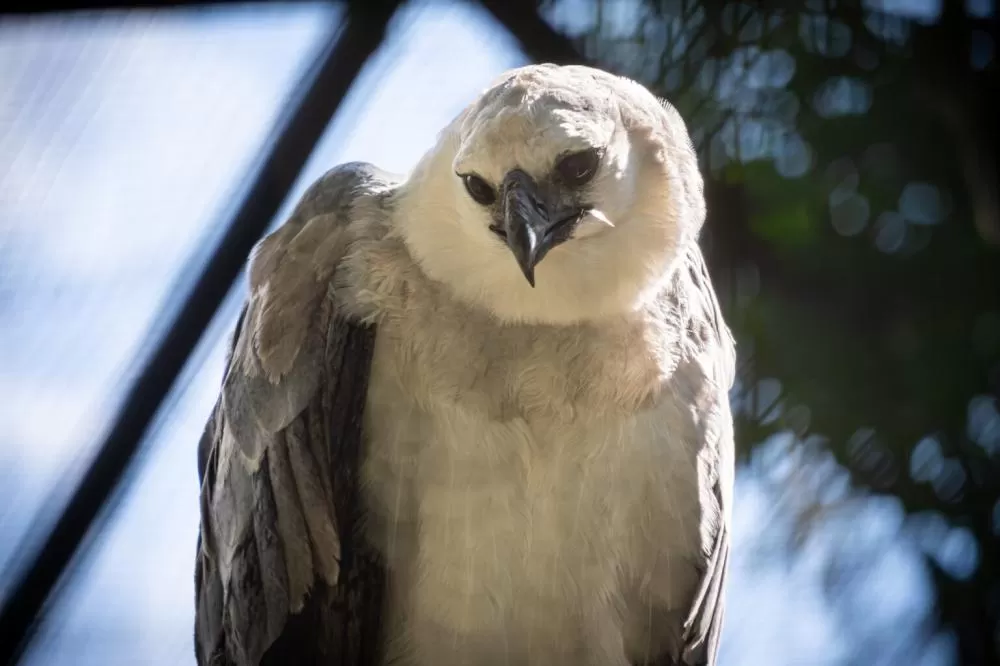 Fotos: Rubens Fraulini/Itaipu Binacional.
