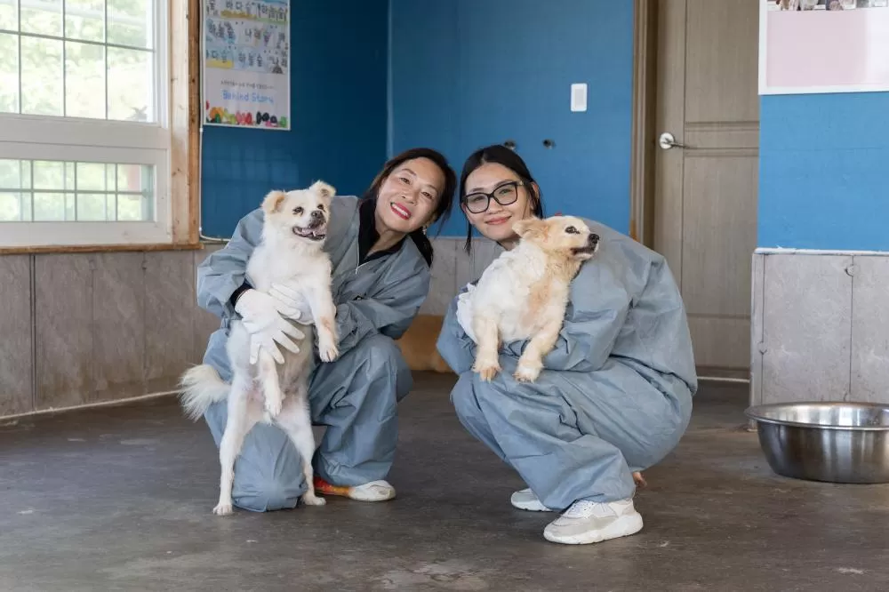 Associados do Rotary E-club de MZ (cujo nome faz referência às gerações do milênio e Z), em Gyeonggi, Coreia do Sul, visitam regularmente um abrigo de cães para brincar com eles e treiná-los. Eles também limpam o abrigo e doam ração e cobertores. Icheon, 