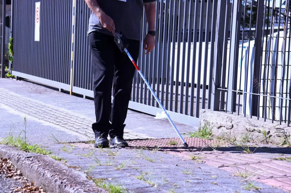 Foto: Raphaella Piovezan/SEIA