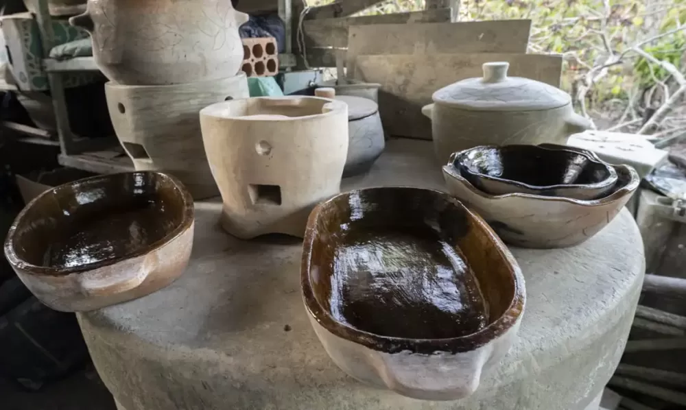 © Francisco Moreira da Costa/CNFCP