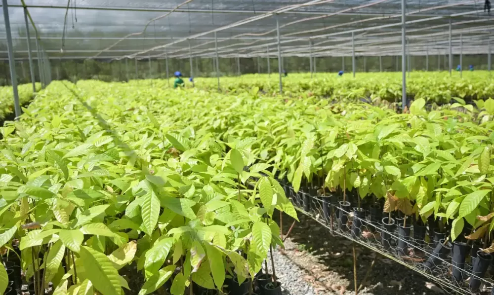 © Washington Alves/Light Press