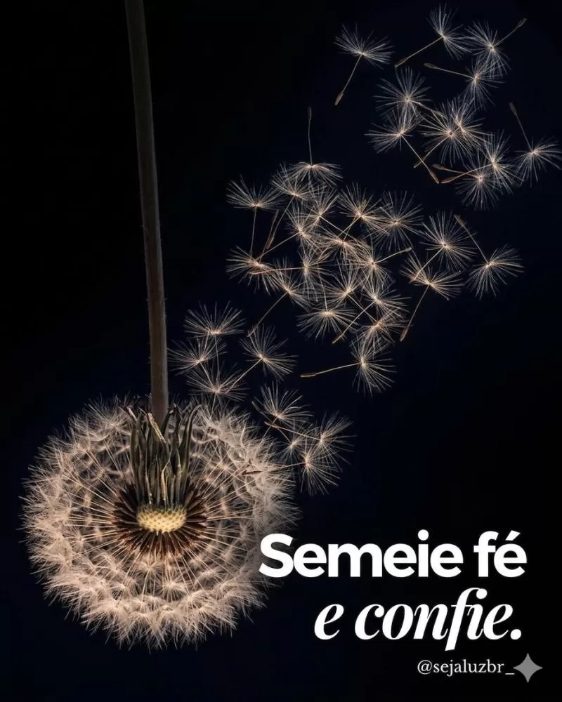 O Poder do Bem: Reflexões para o Coração