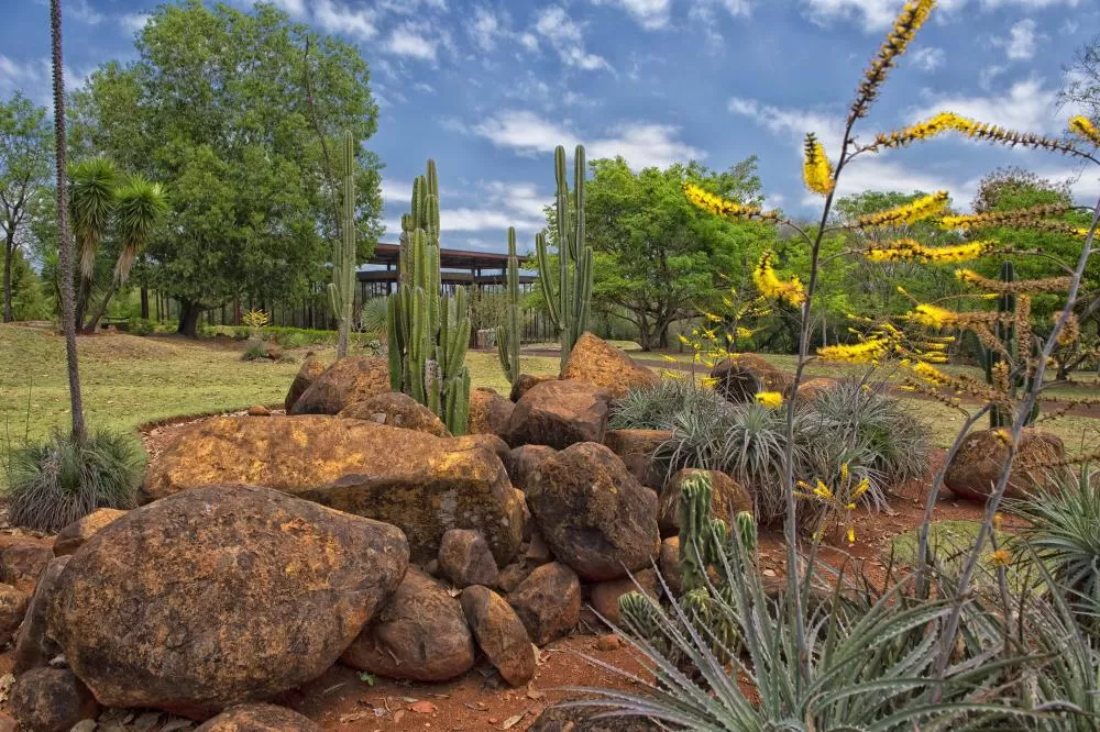 Jardim Botânico de Londrina: passeio pela flora nativa do Paraná Foto: Denis Ferreira Netto/SEDEST