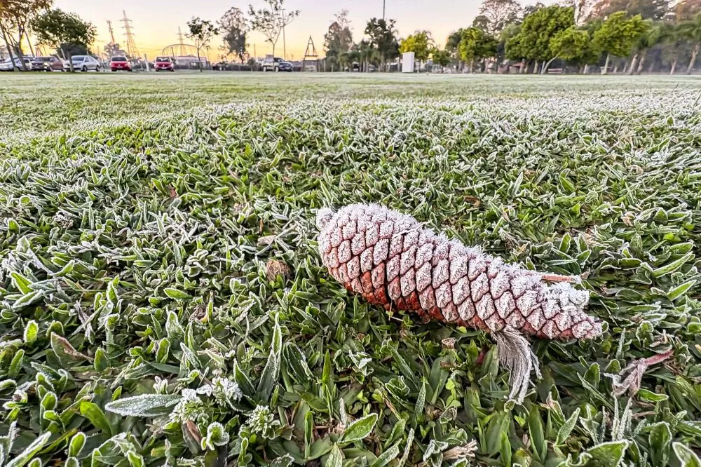 MAIO TERÁ GEADA, FRENTES FRIAS E MAIS SINAIS DE INVERNO NO PARANÁ Foto: Roberto Dziura Jr/AEN