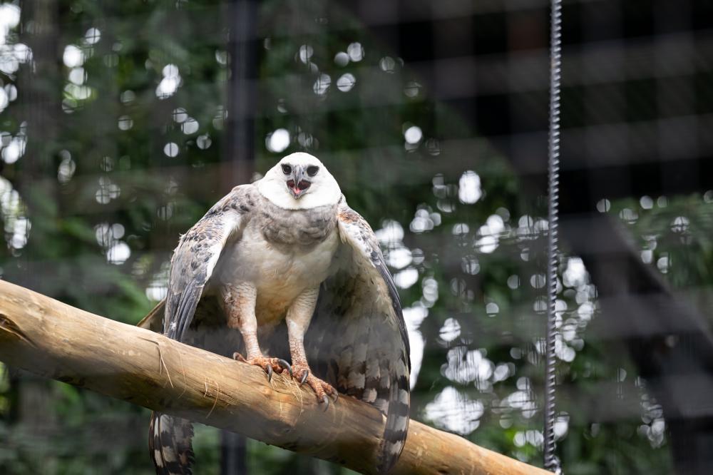 Foto: Rafa Kondlatsch/Itaipu.