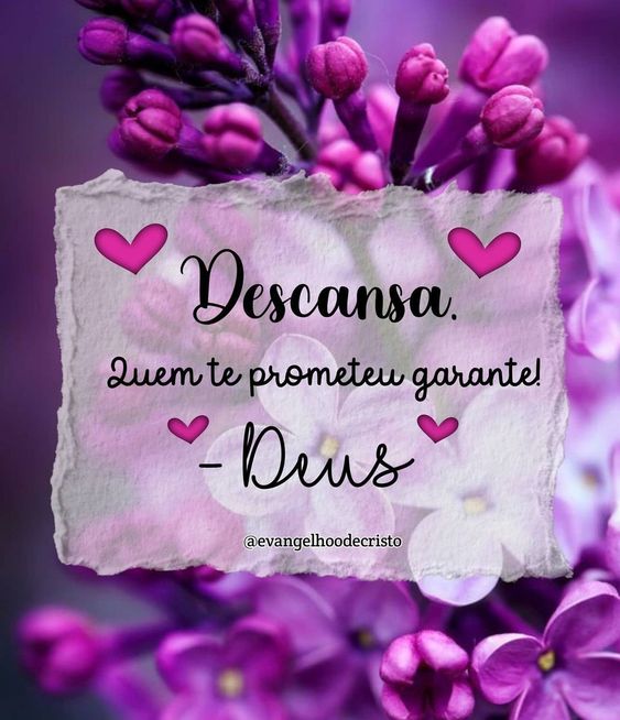 (Foto: Divulgação)