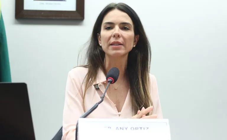 Any Ortiz: teto atual está defasado, o que leva empreendedores para a informalidade Vinicius Loures / Câmara dos Deputados F