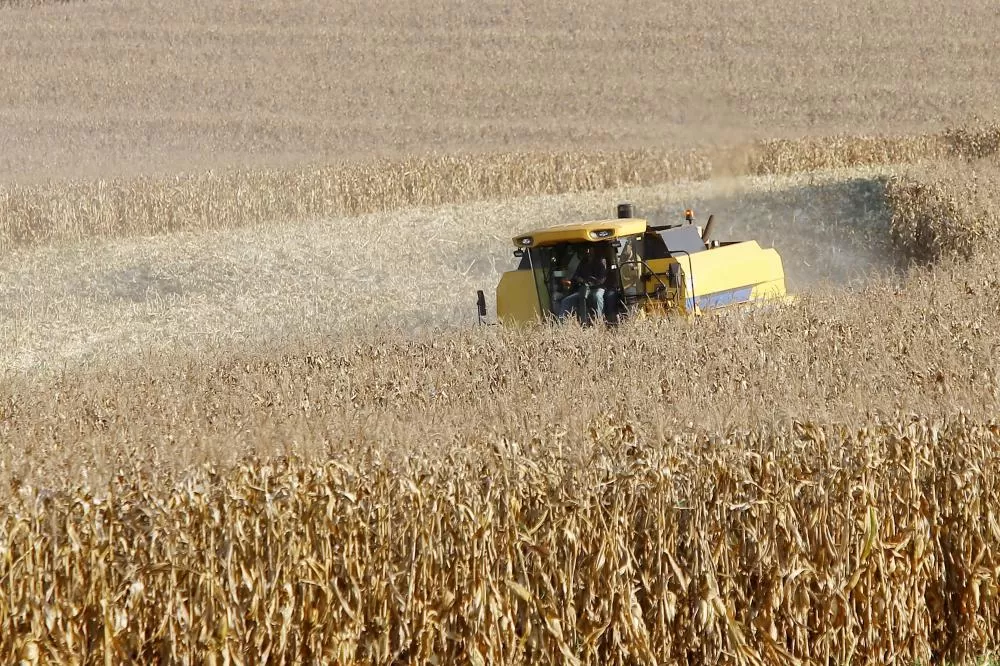 Paraná desponta como novo polo de etanol de milho com salto de 71% na produção Foto: Albari Rosa/Arquivo AEN