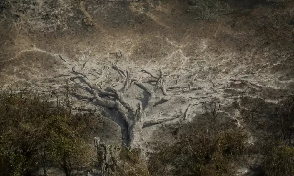 © Joédson Alves/Agência Brasil