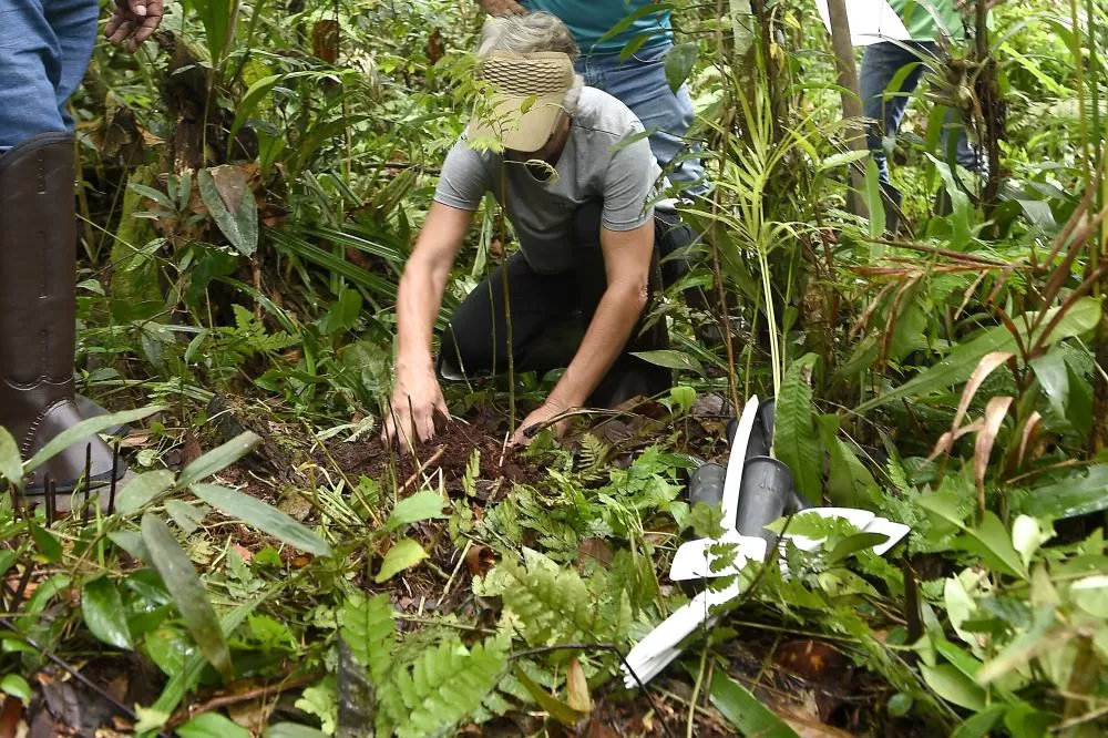 Entre as atividades do previstas para a Semana do Meio Ambiente está o plantio de 5,4 mil mudas de espécies nativas do Paraná Foto: Denis Ferreira Netto/SEDEST