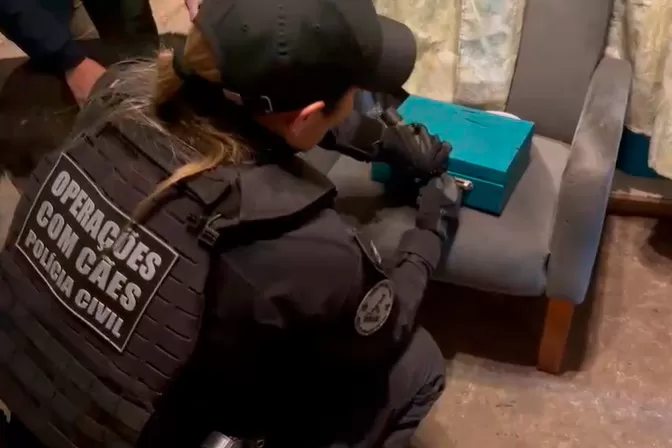 PCPR apreende armas, drogas e R$ 78 mil em operação contra grupo criminoso em Curitiba Foto: PCPR