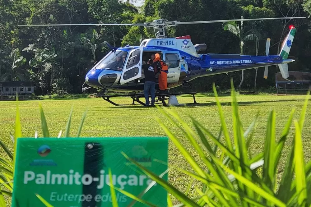 Ação coordenada pelo Instituto Água e Terra promoveu a dispersão de 700 mil sementes de palmito-juçara no Litoral do Paraná Foto: COA-IAT