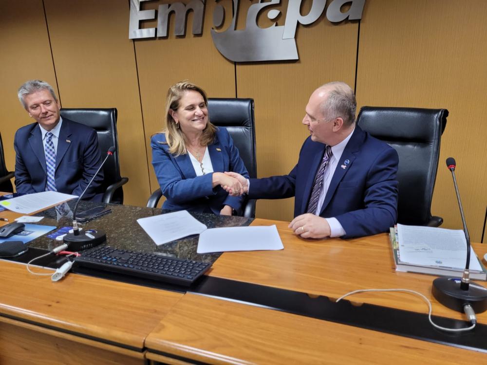 Foto: Kátia Marsicano