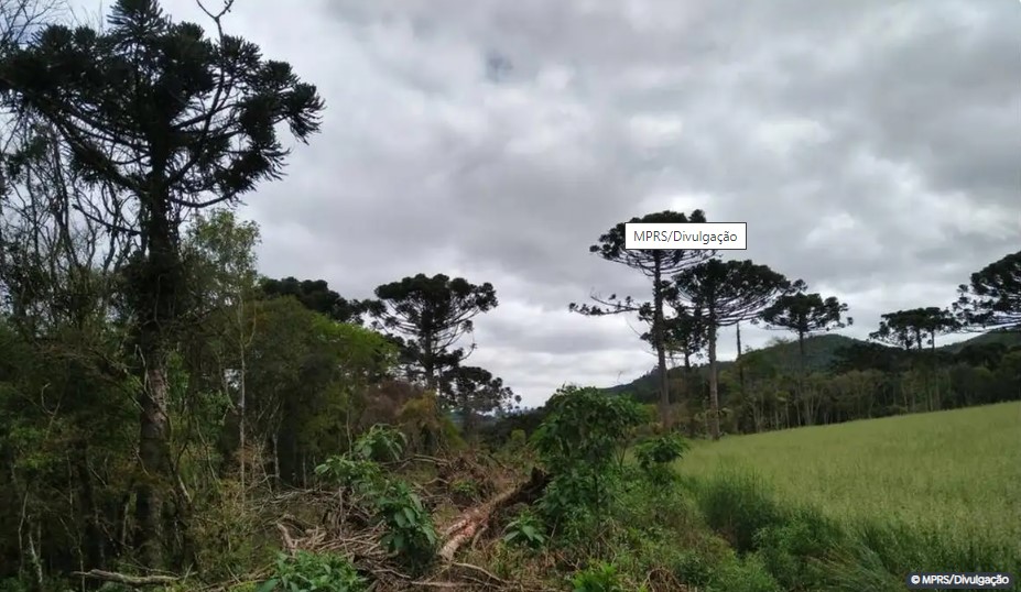 MPRS/Divulgação