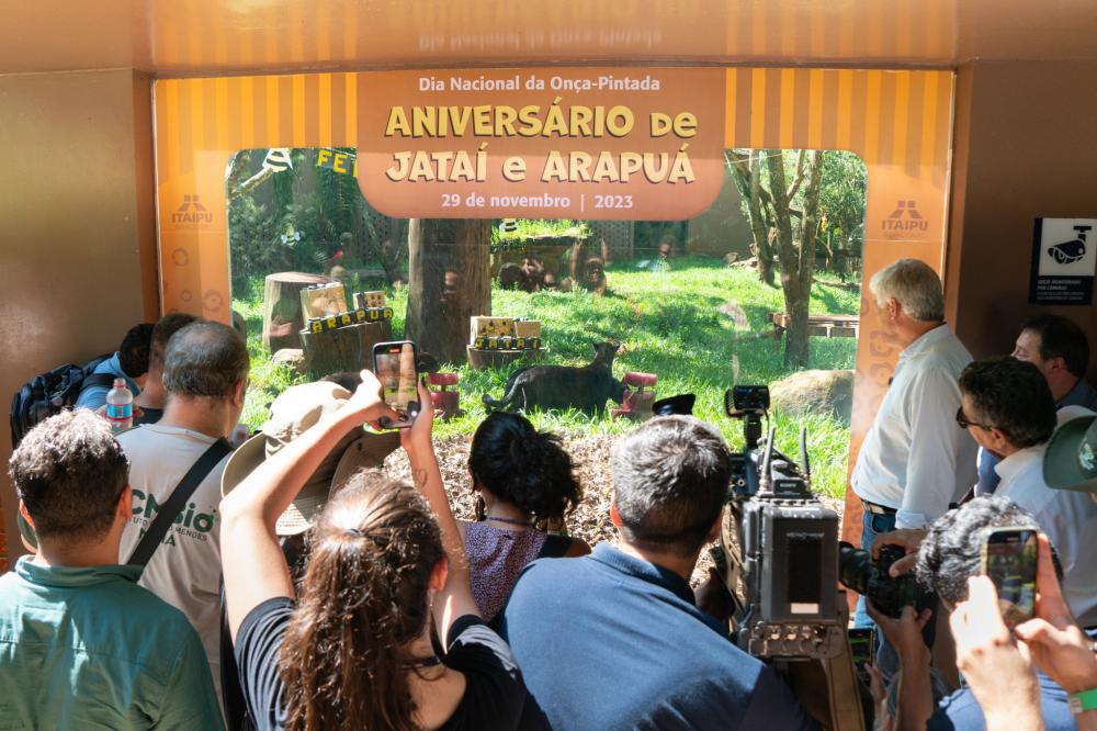 (Foto: Divulgação)