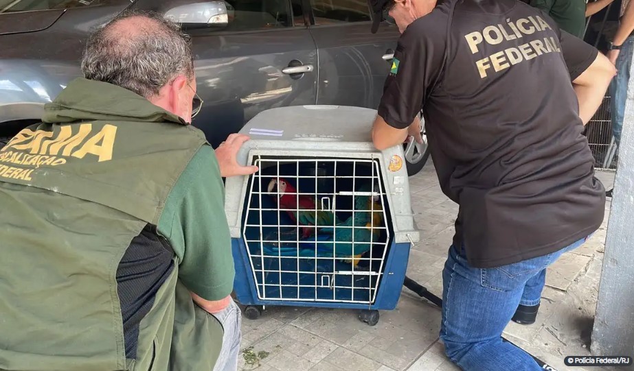 Polícia Federal/RJ