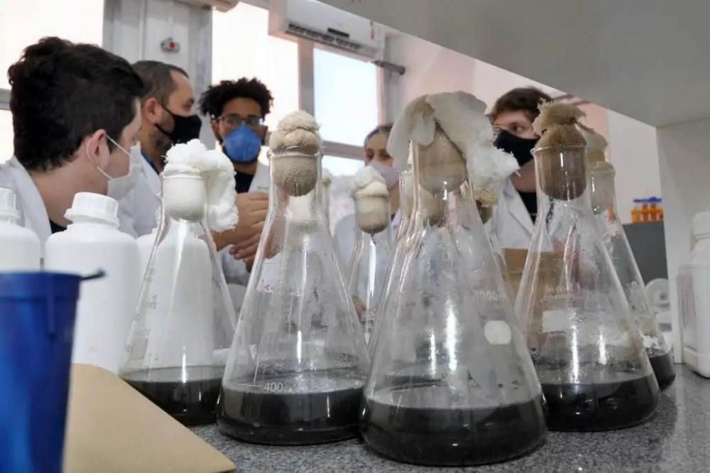 Consulta pública da Política de Ciência, Tecnologia e Inovação recebeu 414 contribuições Foto: SETI