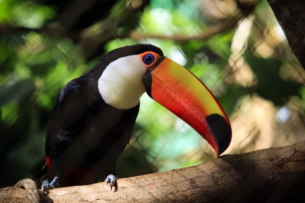 (Foto: Divulgação)