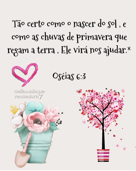 (Foto: Divulgação)