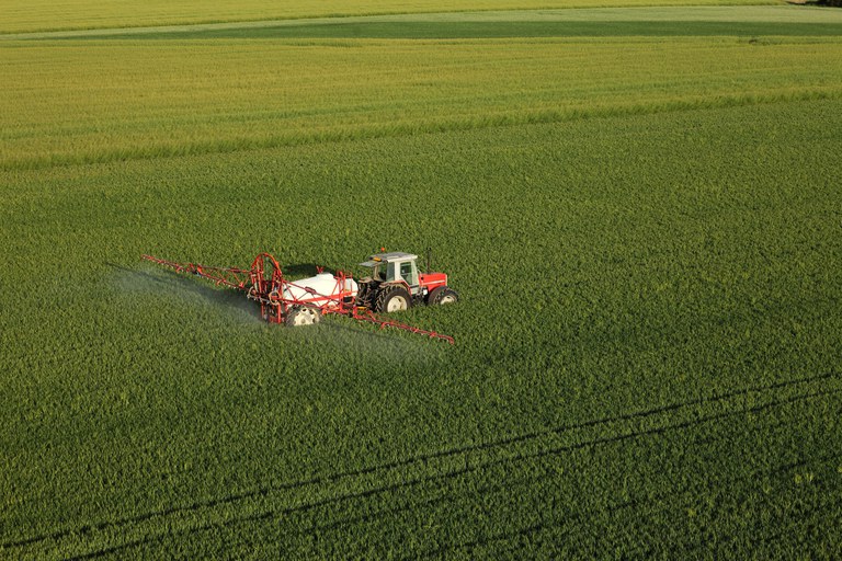 (Foto: Divulgação)