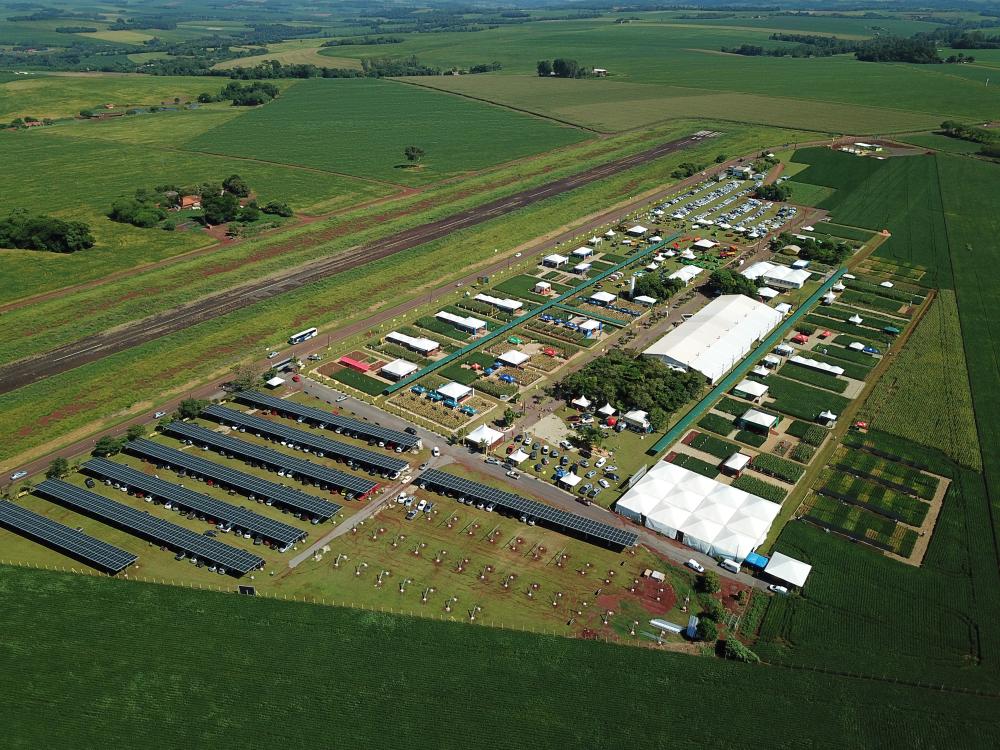 (Foto: Divulgação)