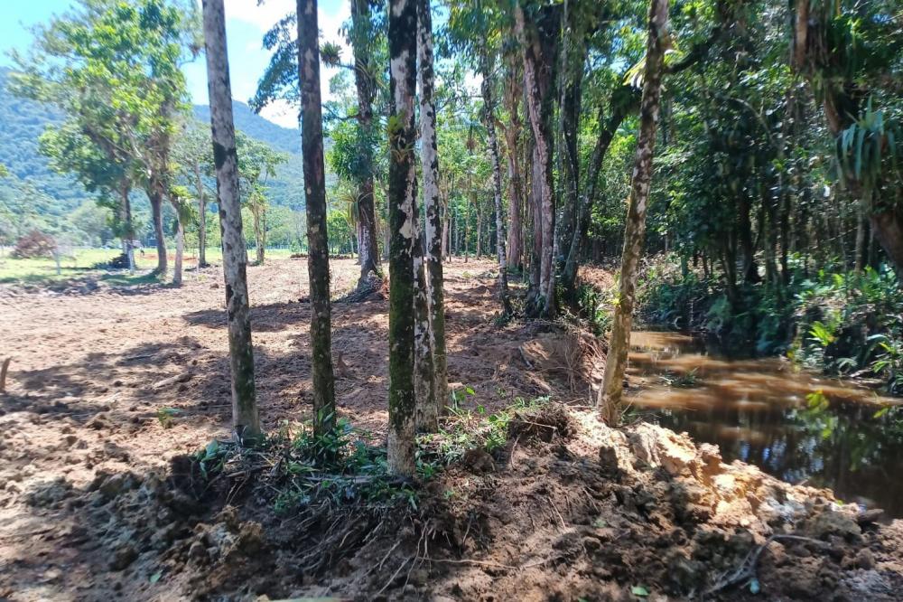 Desmatamento ilegal: área total embargada foi de 1,65 hectares, dentro da APA de Guaratuba Foto: IAT Litoral