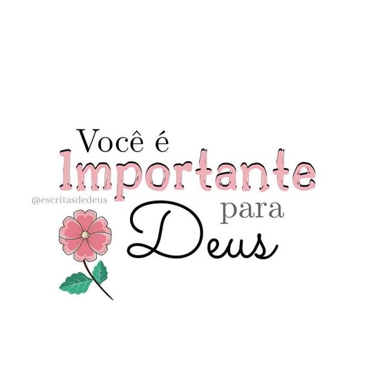 (Foto: Divulgação)