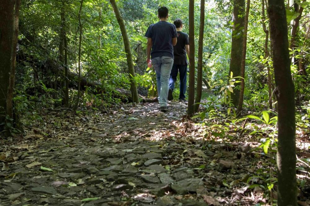 (Foto: Divulgação)