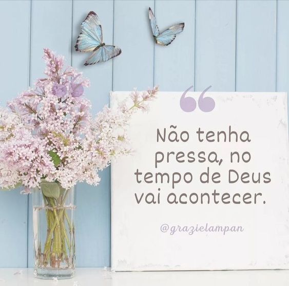 (Foto: Divulgação)