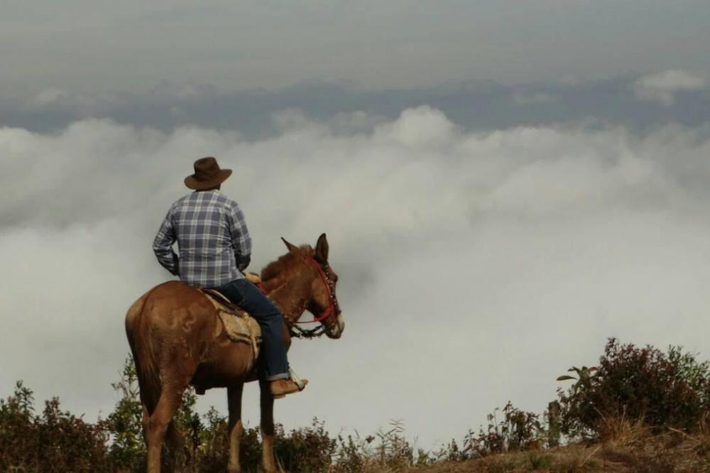 Romaria Tropeira vai percorrer a Rota do Rosário unindo tradição e religiosidade Foto: Clube dos Tropeiros Alma Sem Fronteiras