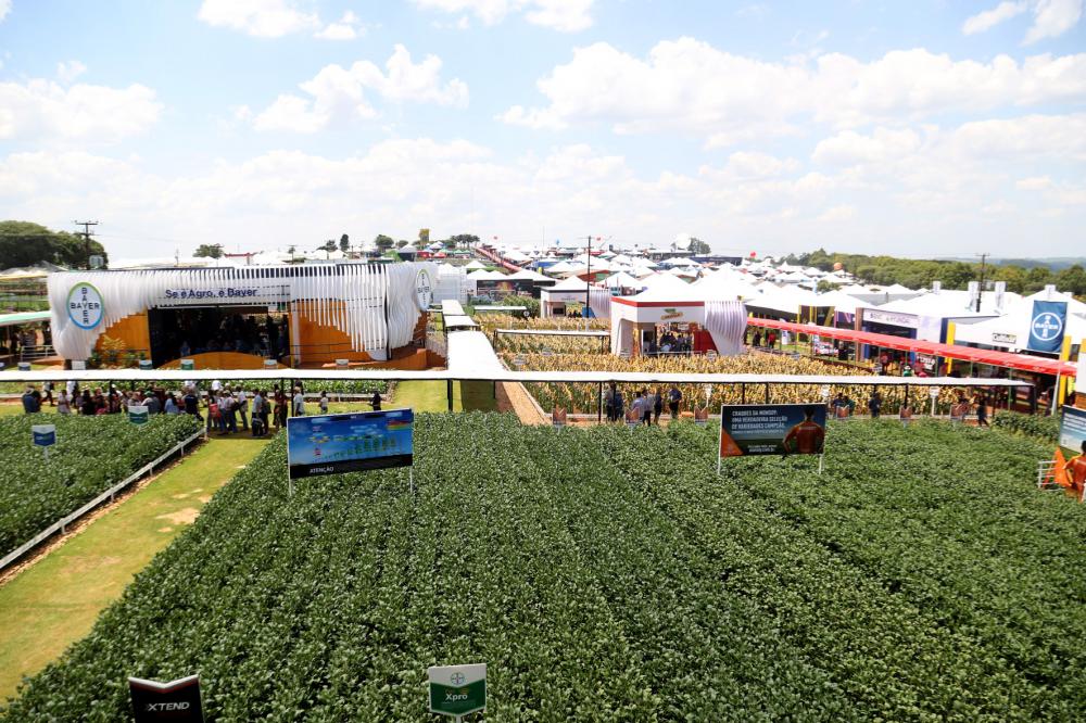 Para prevenir gripe aviária, Adapar renova proibição de aves em eventos agropecuários Foto: Gilson Abreu/AEN