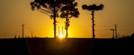 Fotos: Edino Krug/Itaipu Binacional