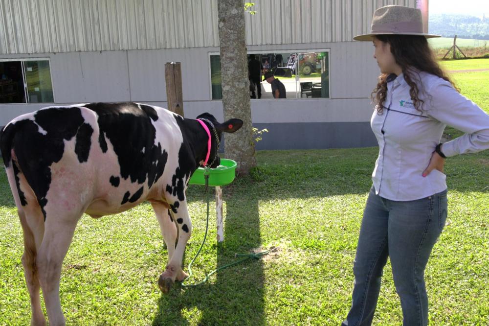 IDR levará raça Purunã, orientações sobre nutrição e técnicas de solo ao Show Rural Foto: IDR