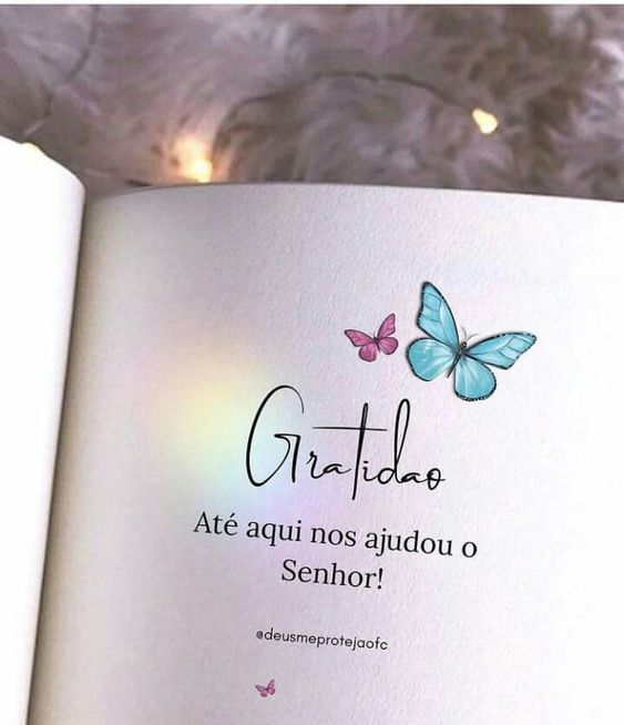 (Foto: Divulgação)