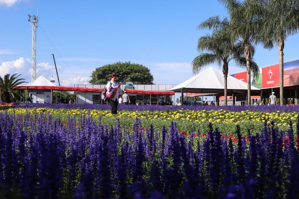 Foto: Rodrigo Félix Leal/SEIL-PR