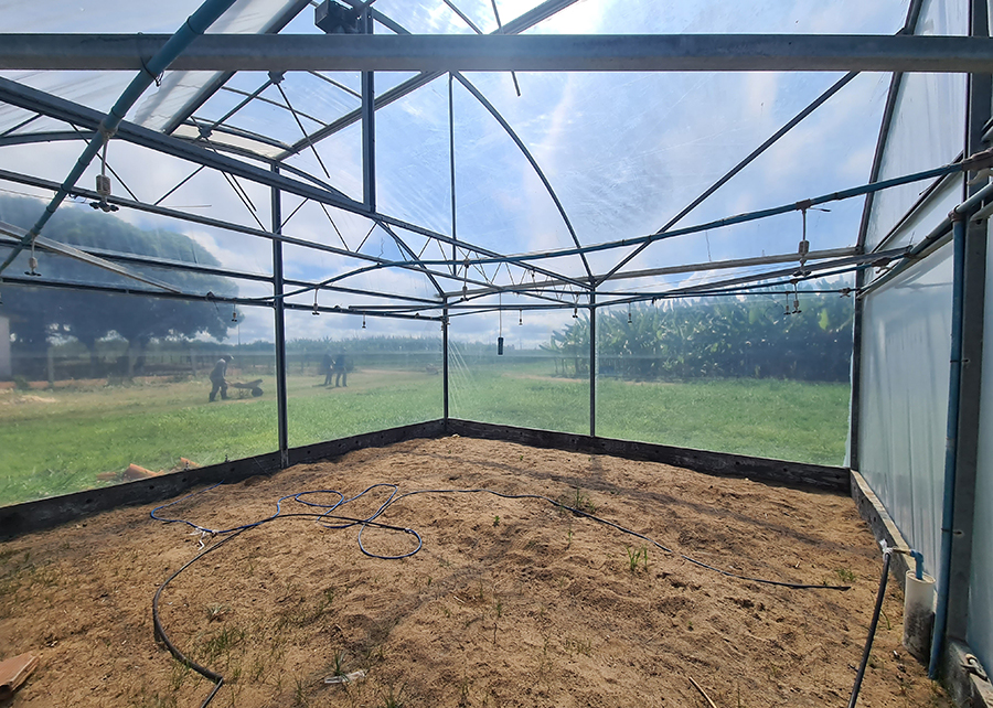 Foto: Saulo Oliveira