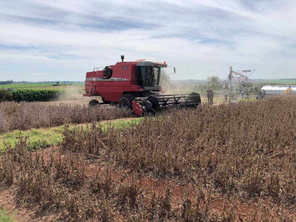 (Foto: Divulgação)